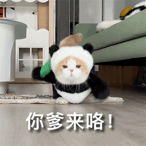 图片[3]-发的什么鸟图？-喜欢表情包分享—全网表情包