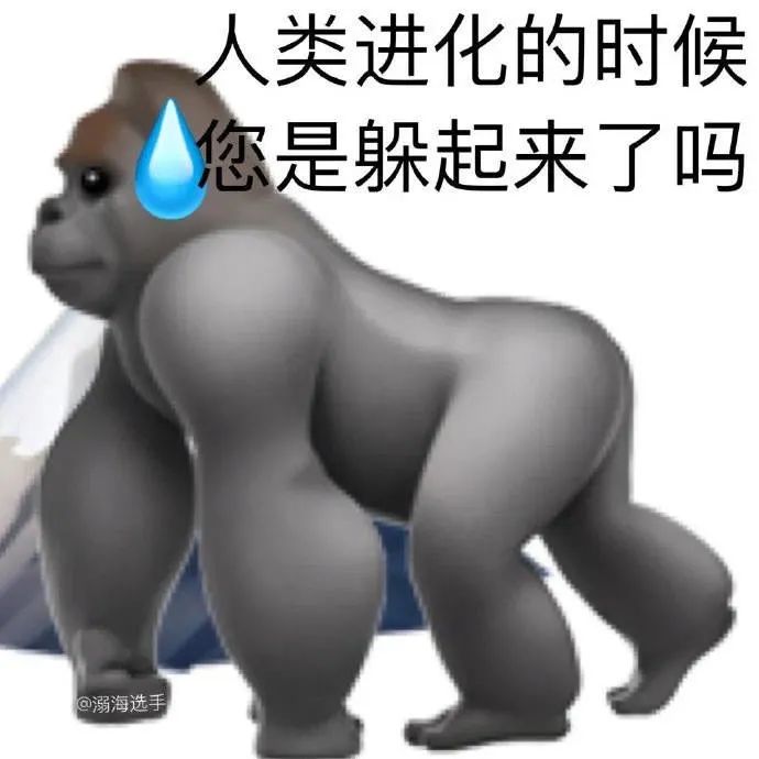 图片[22]-抱 抱 你-喜欢表情包分享—全网表情包