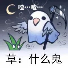 图片[12]-最近热门鸟语表情-喜欢表情包分享—全网表情包