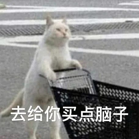 图片[1]-表情包：我去给你买点脑子！-喜欢表情包分享—全网表情包