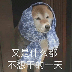 图片[33]-干什么，你不要过来!-喜欢表情包分享—全网表情包