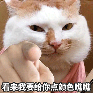 图片[8]-你在教我做事？-喜欢表情包分享—全网表情包