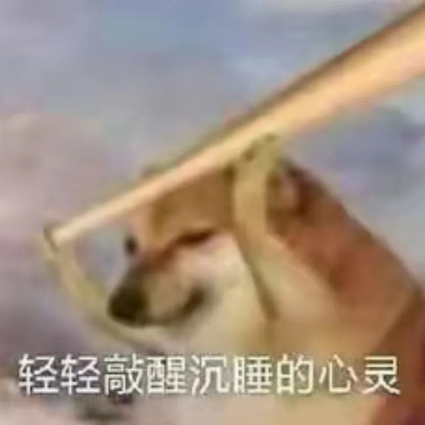 图片[11]-哦不可以色色-喜欢表情包分享—全网表情包