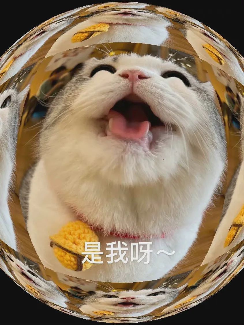 图片[2]-老子要亲死你-喜欢表情包分享—全网表情包