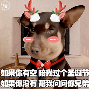 图片[3]-圣诞快乐-喜欢表情包分享—全网表情包