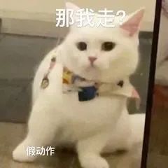 图片[7]-老实又芭蕉-喜欢表情包分享—全网表情包