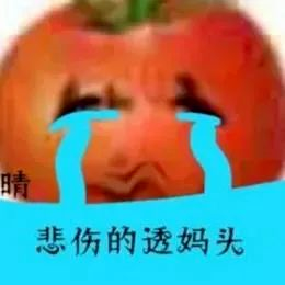 图片[23]-偷妈头&破忒头表情包-喜欢表情包分享—全网表情包