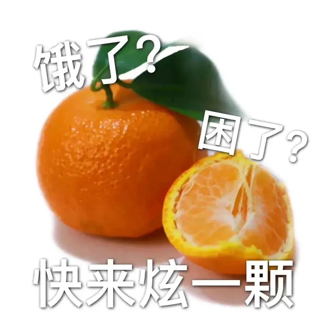 图片[12]-表情包-喜欢表情包分享—全网表情包