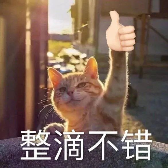 图片[9]-我就是在耍大牌-喜欢表情包分享—全网表情包