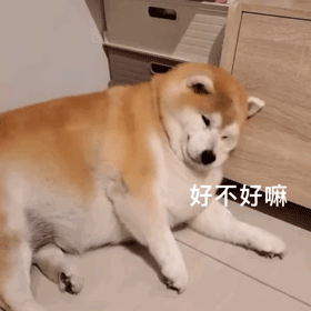图片[16]-come on，宝贝-喜欢表情包分享—全网表情包