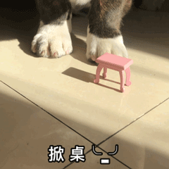 图片[36]-可爱到爆的表情包-喜欢表情包分享—全网表情包