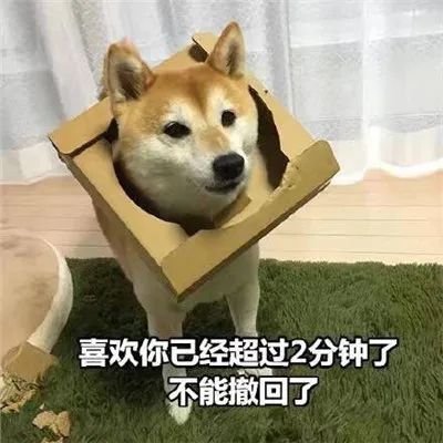 图片[7]-套路聊天表情合集-喜欢表情包分享—全网表情包