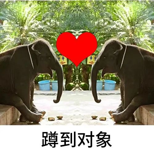 图片[9]-有没有女孩子一起过圣诞节-喜欢表情包分享—全网表情包