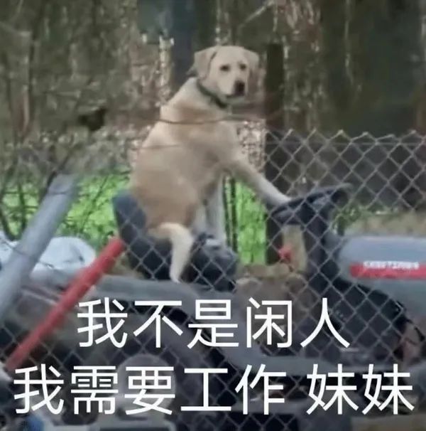 图片[24]-你想要我的亲亲吗-喜欢表情包分享—全网表情包