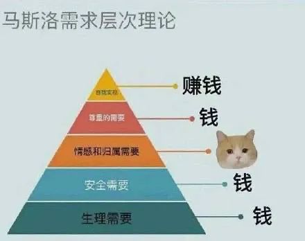 图片[9]-有点意思-喜欢表情包分享—全网表情包