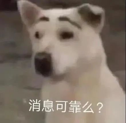 图片[8]-表情包-喜欢表情包分享—全网表情包