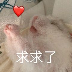 图片[4]-奇怪的表情增加了-喜欢表情包分享—全网表情包