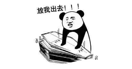 图片[15]-搞笑表情包：喂 准备个棺材-喜欢表情包分享—全网表情包