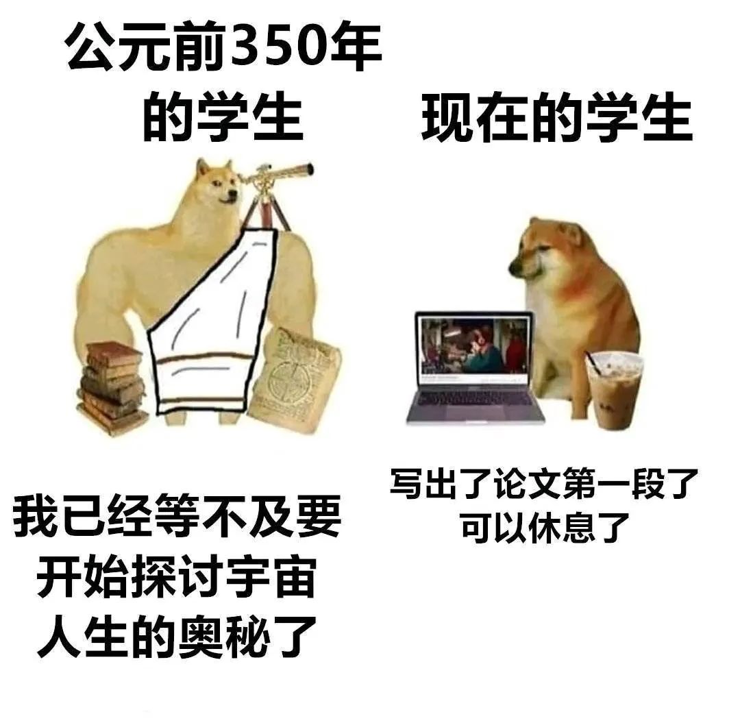 图片[14]-看到这个巴掌了吗-喜欢表情包分享—全网表情包