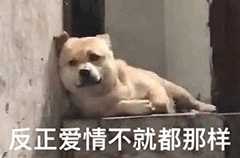 图片[22]-我猜你在拉屎-喜欢表情包分享—全网表情包