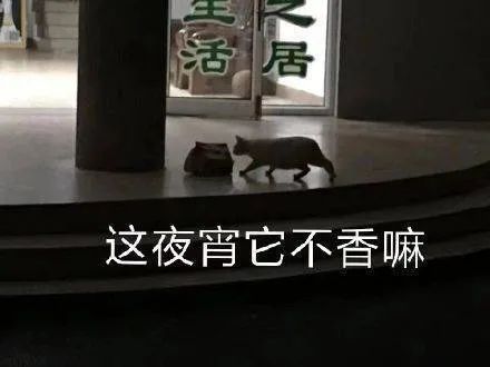 图片[17]-沙雕表情包-喜欢表情包分享—全网表情包