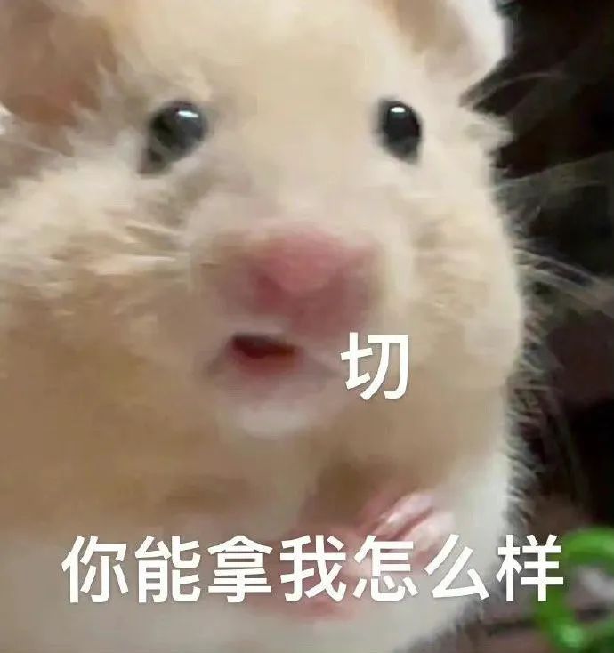 图片[21]-欺负窝-喜欢表情包分享—全网表情包