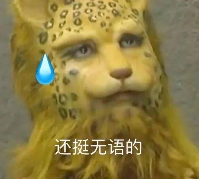 图片[13]-骚表情包-喜欢表情包分享—全网表情包