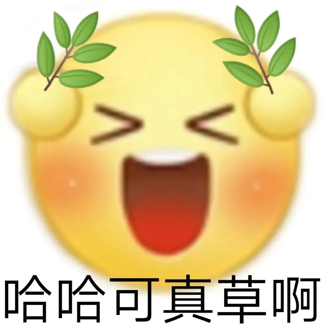图片[13]-系啊 我介样的人整莫会被爱-喜欢表情包分享—全网表情包