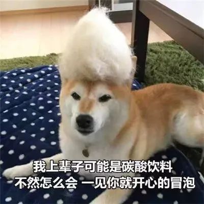 图片[2]-套路聊天表情合集-喜欢表情包分享—全网表情包