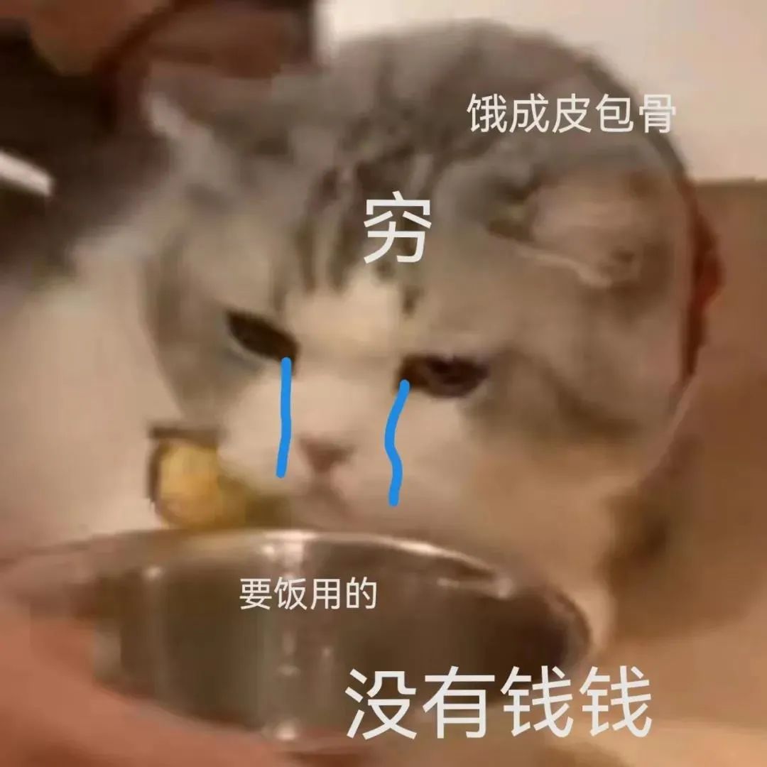 图片[11]-我能和你用情侣头像吗-喜欢表情包分享—全网表情包