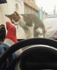 图片[1]-【GIF】啊…这…-喜欢表情包分享—全网表情包