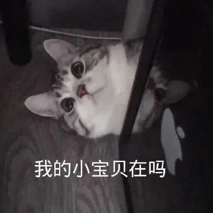 图片[22]-我能和你用情侣头像吗-喜欢表情包分享—全网表情包