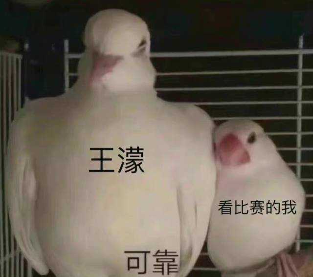 图片[9]-可以进你被窝吗？-喜欢表情包分享—全网表情包