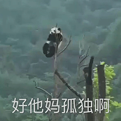 图片[13]-干什么，你不要过来!-喜欢表情包分享—全网表情包