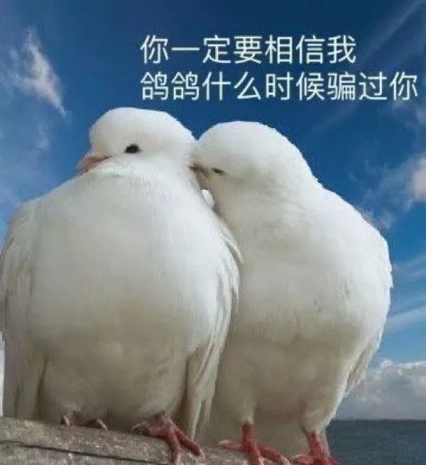 图片[12]-奇怪的表情增加了-喜欢表情包分享—全网表情包