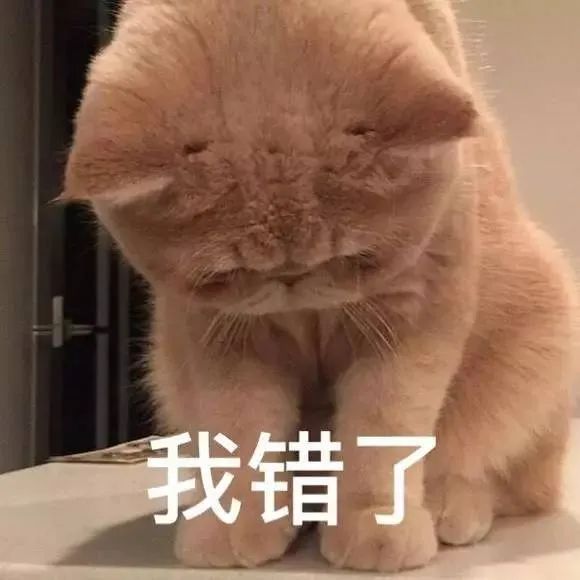 图片[14]-我这就滚-喜欢表情包分享—全网表情包