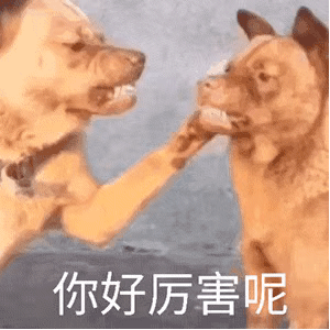 图片[14]-50个聊天阴阳怪气的表情包-喜欢表情包分享—全网表情包