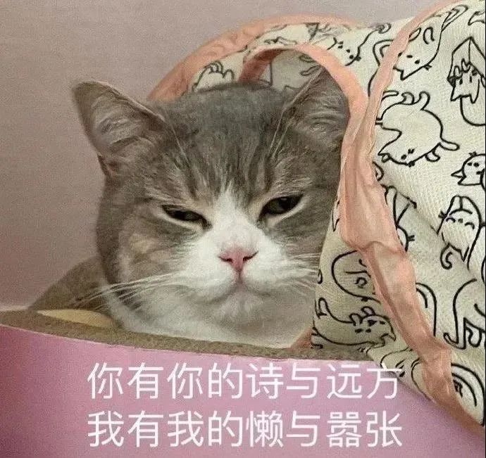 图片[15]-表情包-喜欢表情包分享—全网表情包