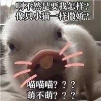 图片[2]-猪猪表情包-喜欢表情包分享—全网表情包