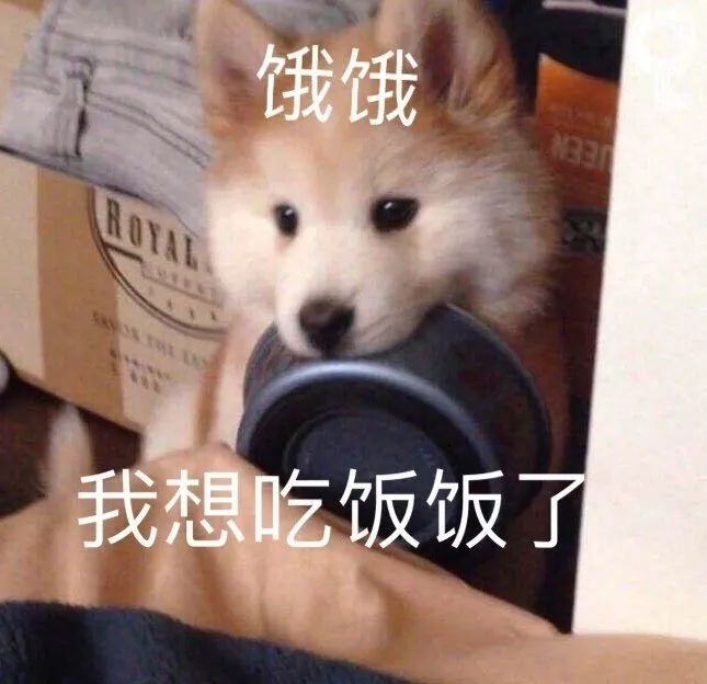 图片[1]-你想要我的亲亲吗-喜欢表情包分享—全网表情包