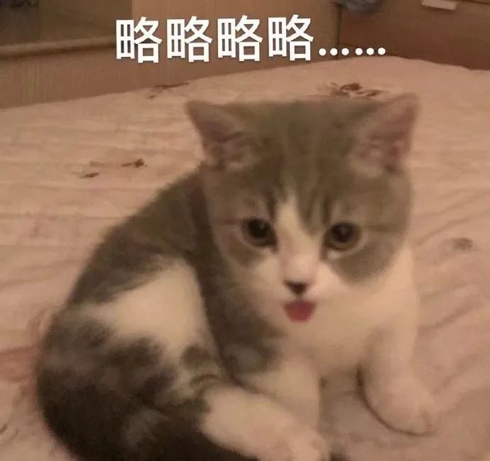 图片[9]-没见过别人亲热吗-喜欢表情包分享—全网表情包