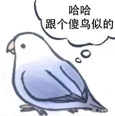 图片[9]-最近热门鸟语表情-喜欢表情包分享—全网表情包