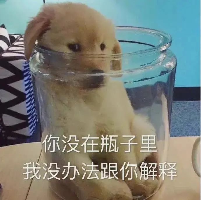 图片[1]-表情包-喜欢表情包分享—全网表情包