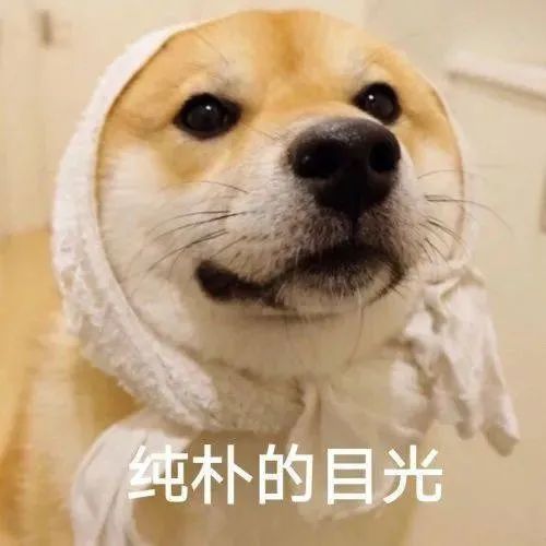 图片[15]-屁放完啦？-喜欢表情包分享—全网表情包