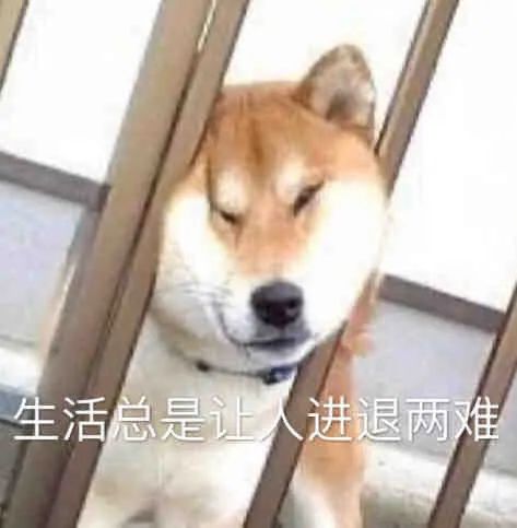 图片[15]-不想学习不想上班-喜欢表情包分享—全网表情包
