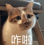 图片[31]-拿撸路多-喜欢表情包分享—全网表情包