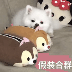 图片[4]-什么牛马-喜欢表情包分享—全网表情包