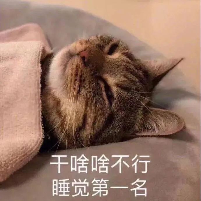 图片[21]-干啥啥不行，睡觉第一名-喜欢表情包分享—全网表情包