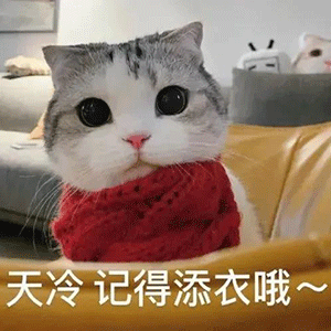 图片[1]-天冷记得添衣哦-喜欢表情包分享—全网表情包