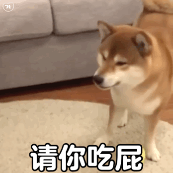 图片[15]-实用斗图表情包-喜欢表情包分享—全网表情包
